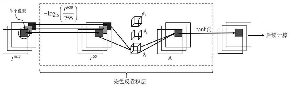 Leukemia cell microscopic image classification method and system based on DenseNet