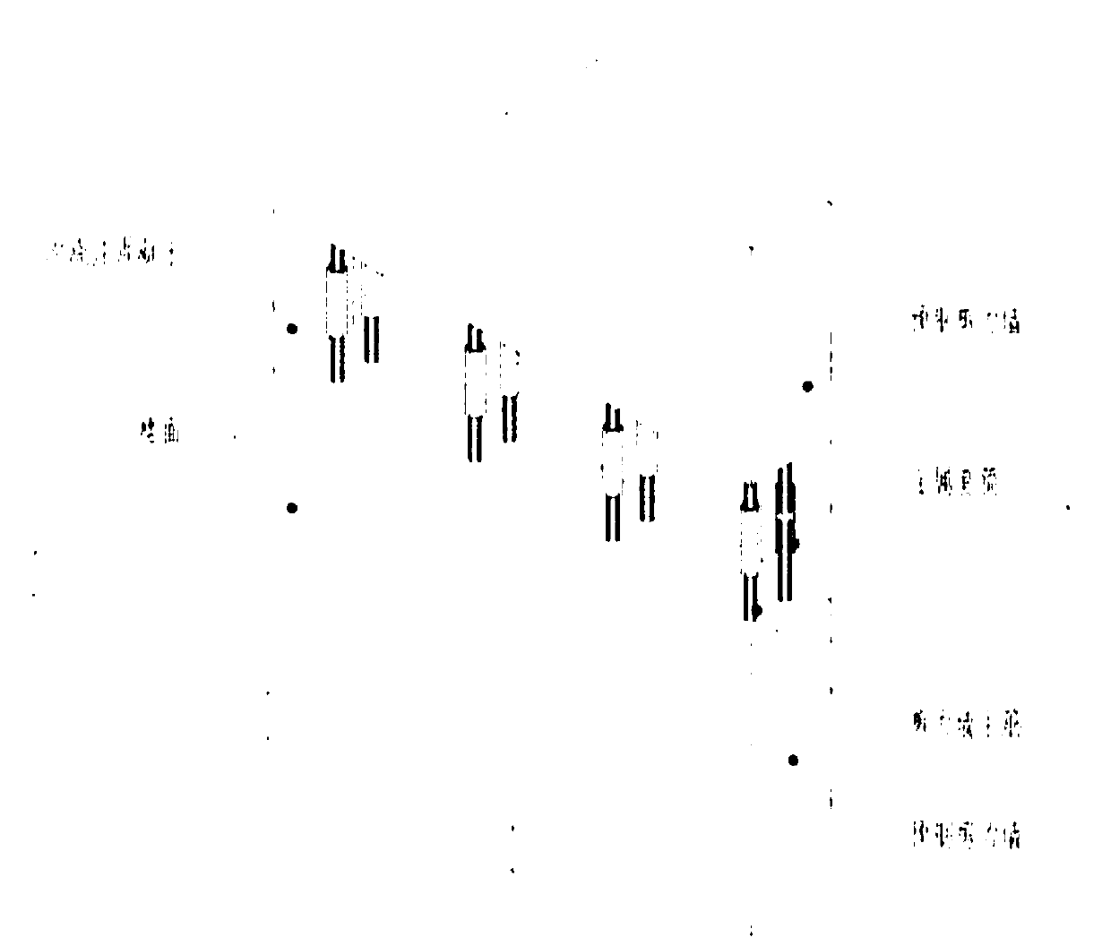 Assembling and pouring integrated shear wall structure building system