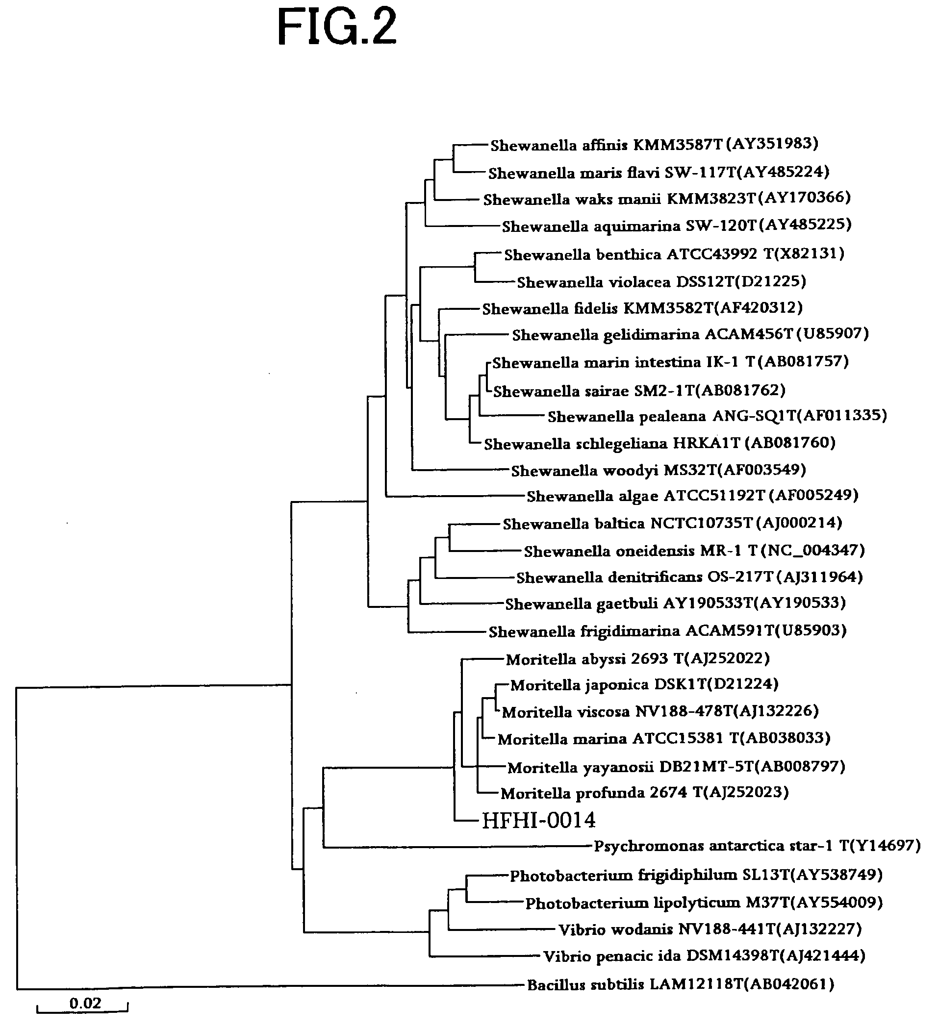 Novel Microbe, Lipid Modifying Agent, Process for Producing 2-Acyl-Lysophospholipid, Process for Producing Diacylglycerol, Process for Producing Ceramide, and Method of Degumming Oil or Fat