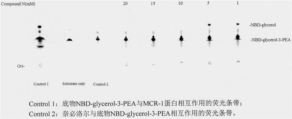 Application of nebivolol in preparation of MCR-1 enzyme inhibitor