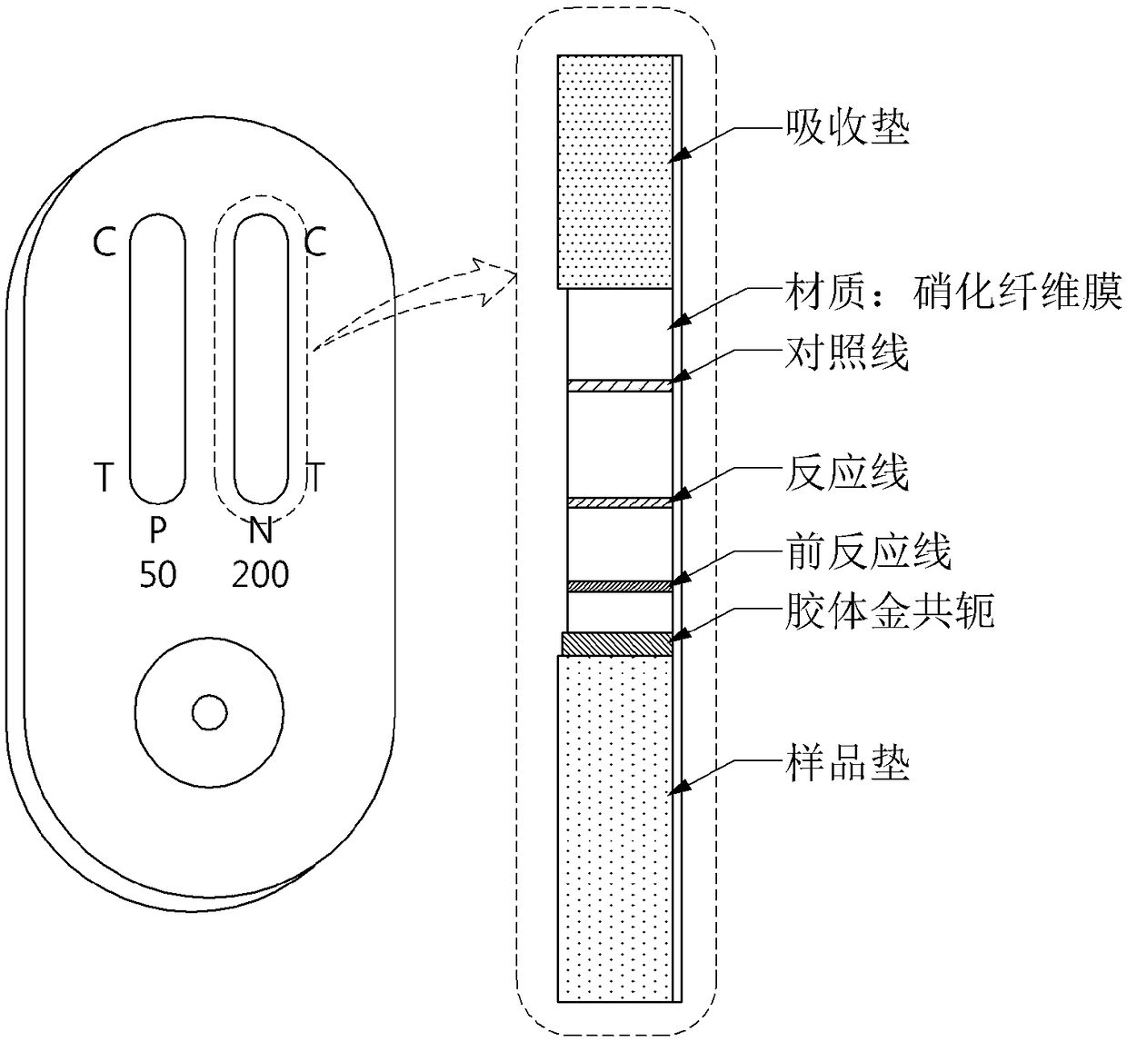 igm semi-quantitative leptospirosis diagnostic kit