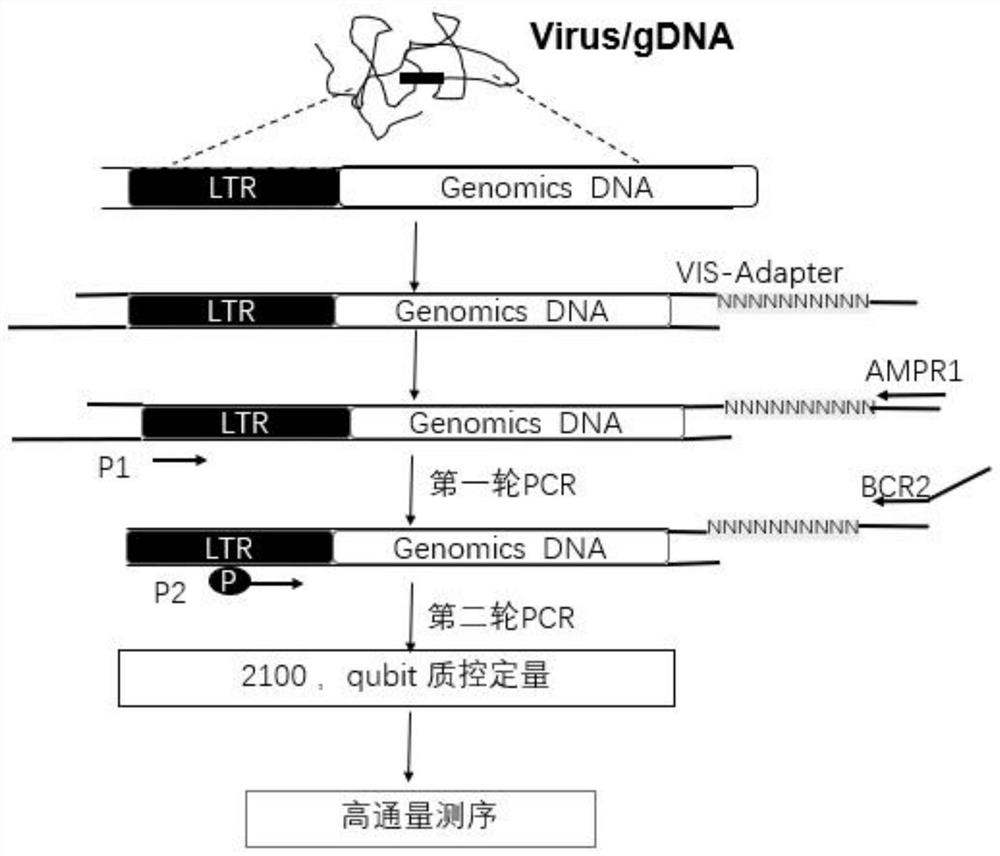 Sequencing library construction method for detecting lentivirus insertion sites, and lentivirus insertion site detection method