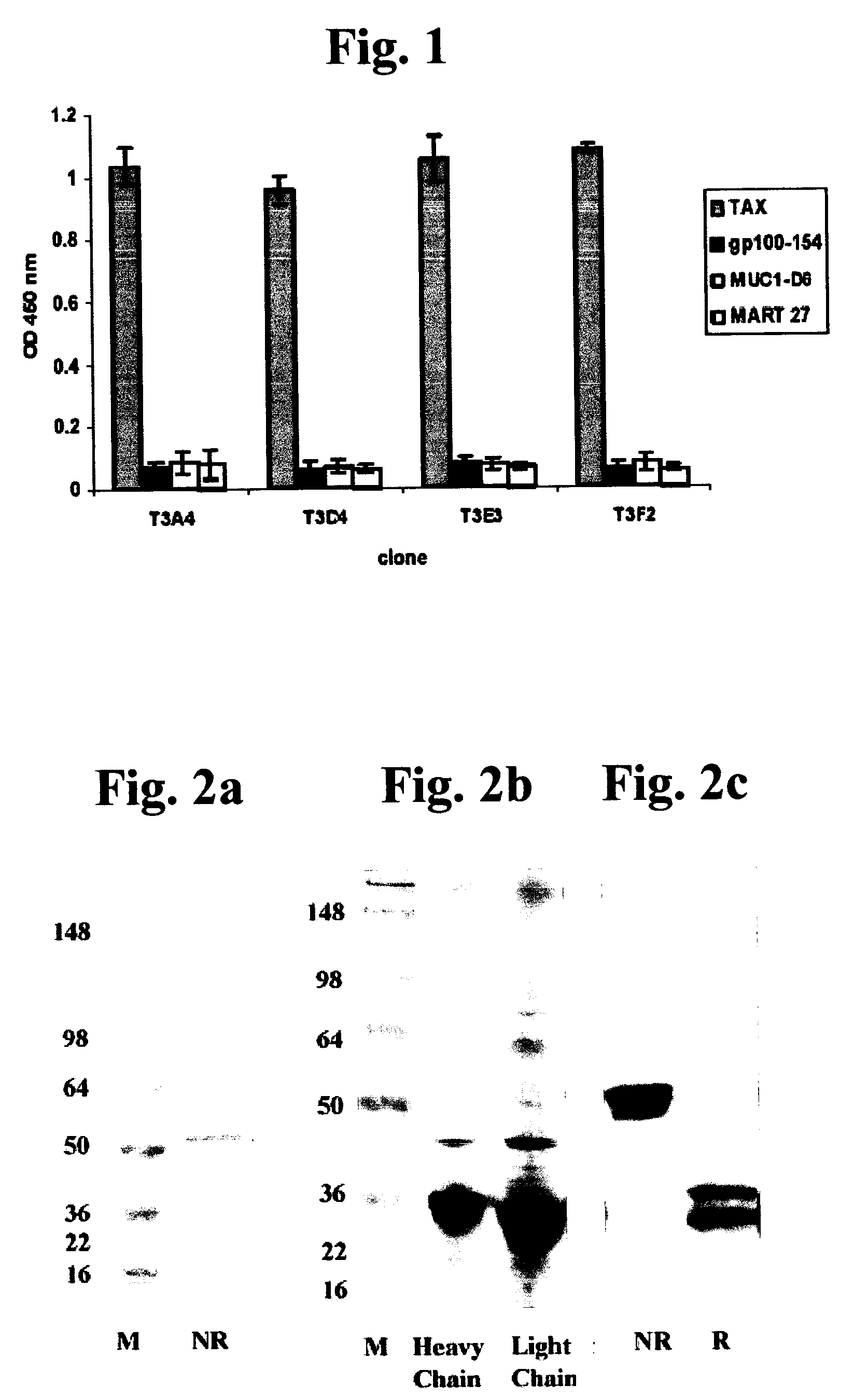 Compositions capable of specifically binding particular human antigen presenting molecule/pathogen-derived antigen complexes and uses thereof