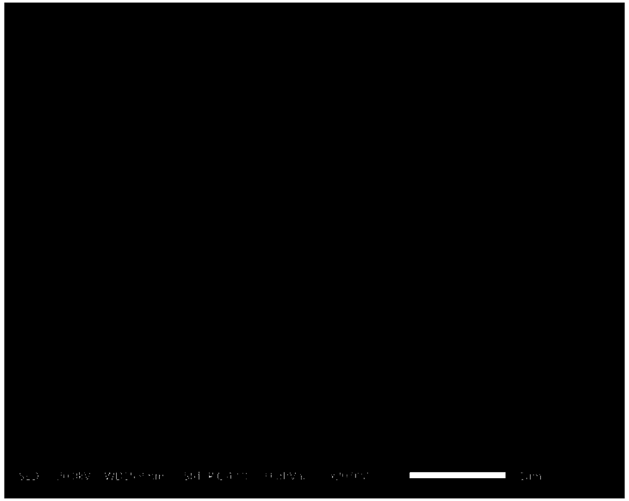 Microwave synthesis method for changing morphology of MIL-53-Fe by polymer