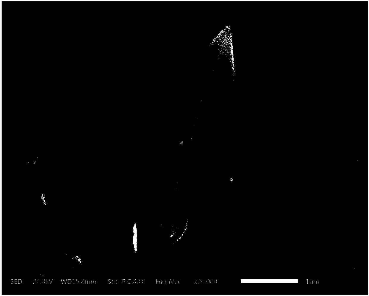 Microwave synthesis method for changing morphology of MIL-53-Fe by polymer