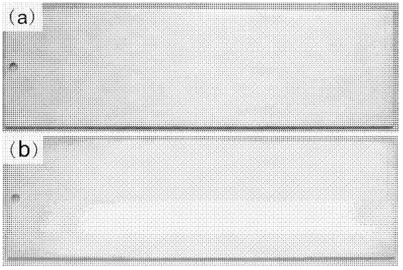 Aluminium alloy chromium-phosphorus-free nanoscale chemical conversion liquid for ships and method for preparing conversion film