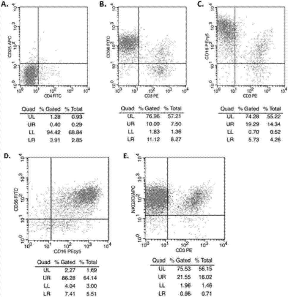 Culture matrix and multiplication culture method for natural killer cells