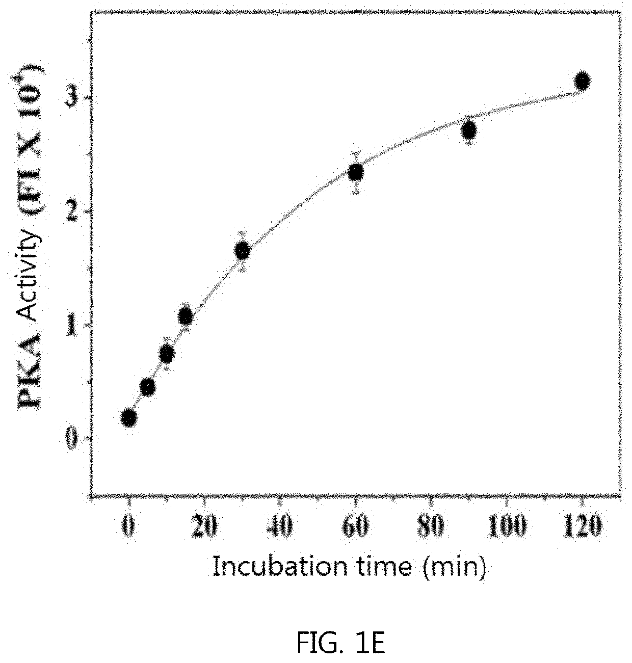 Composition for diagnosing cancer using pka activity and information providing method for diagnosing metastasis