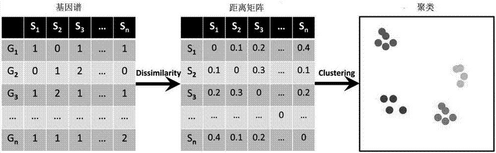 High-similarity microorganism identifying and classifying method