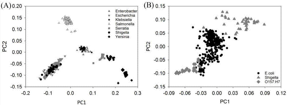 High-similarity microorganism identifying and classifying method