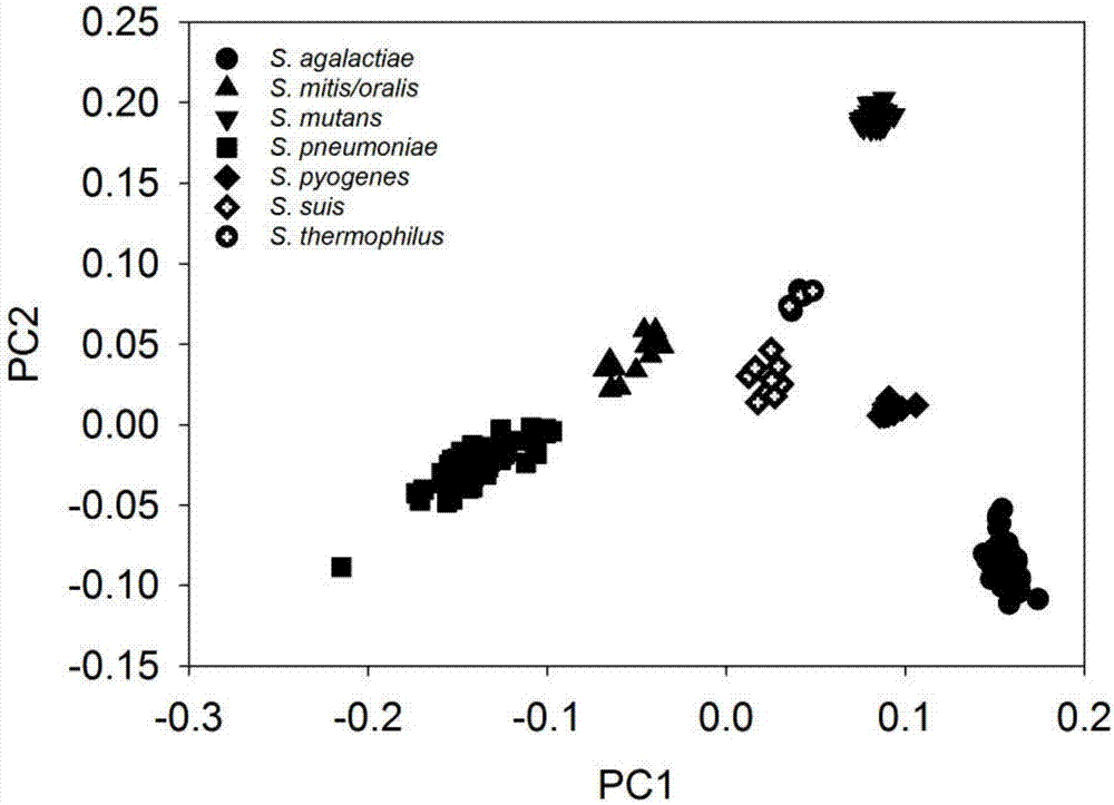 High-similarity microorganism identifying and classifying method