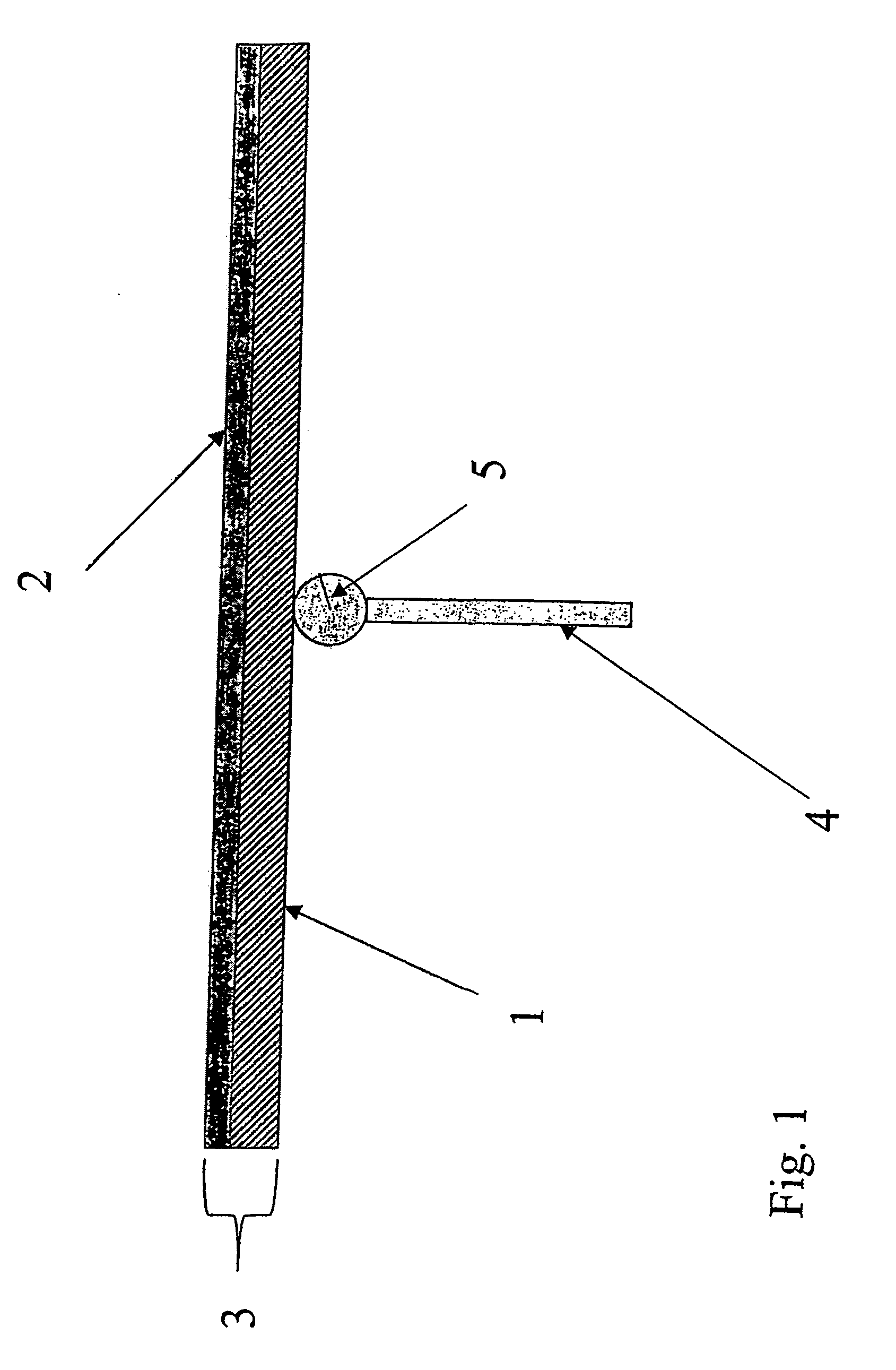 Stainless Steel Strip Coated With A Decorative Layer