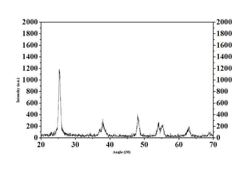 Nitrogen/fluorine-doped titanium dioxide photocatalyst and application thereof in degrading organic pollutants under visible light