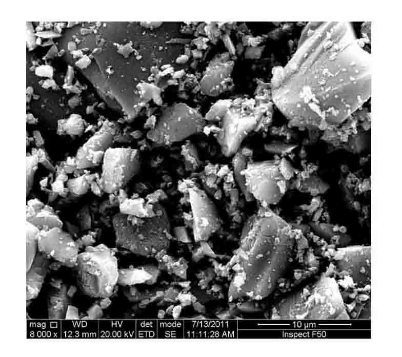 Nitrogen/fluorine-doped titanium dioxide photocatalyst and application thereof in degrading organic pollutants under visible light