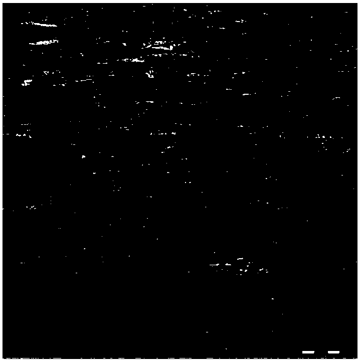 Manufacturing method of 304 wear-resistant stainless steel wire