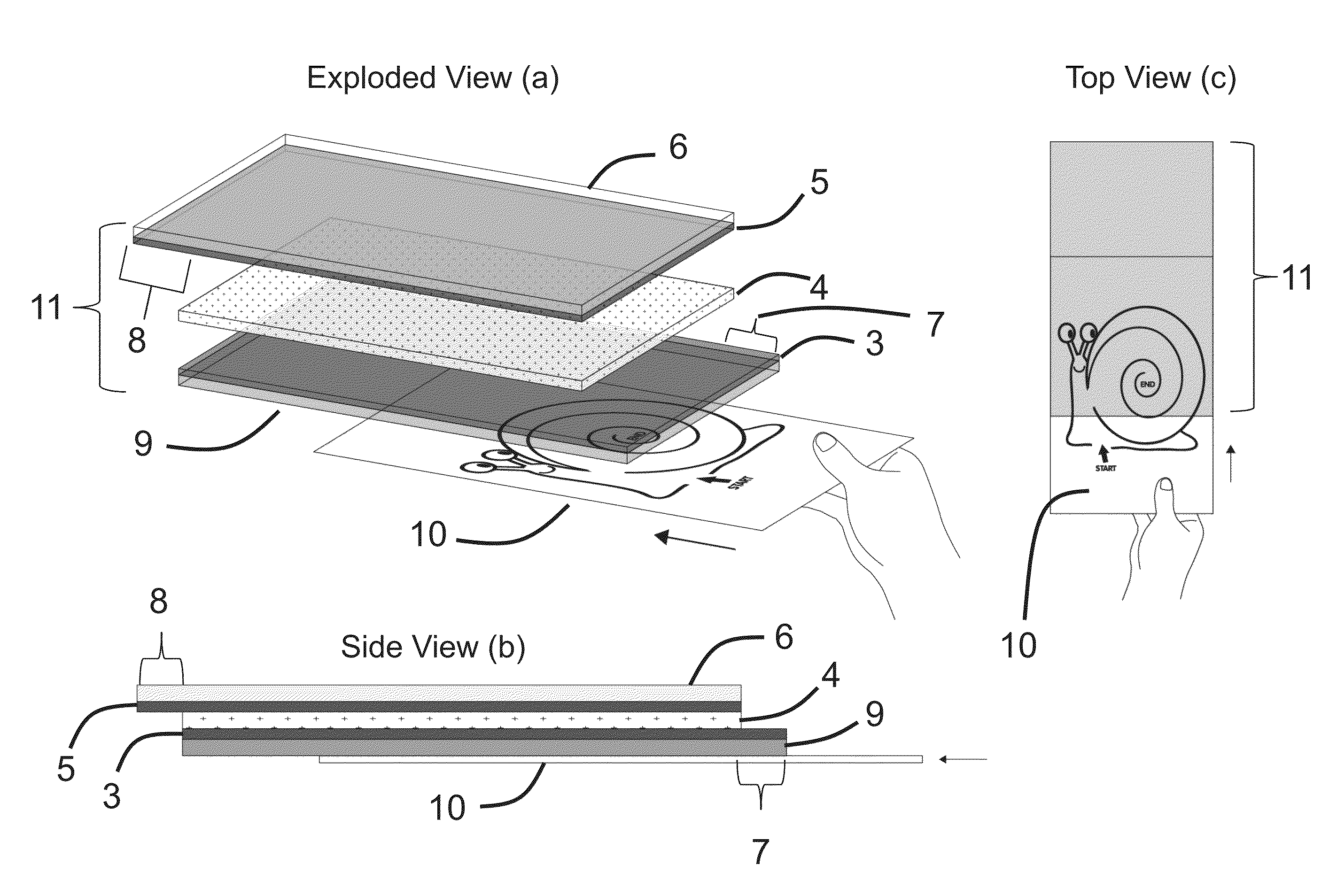 Electronic display with semitransparent back layer