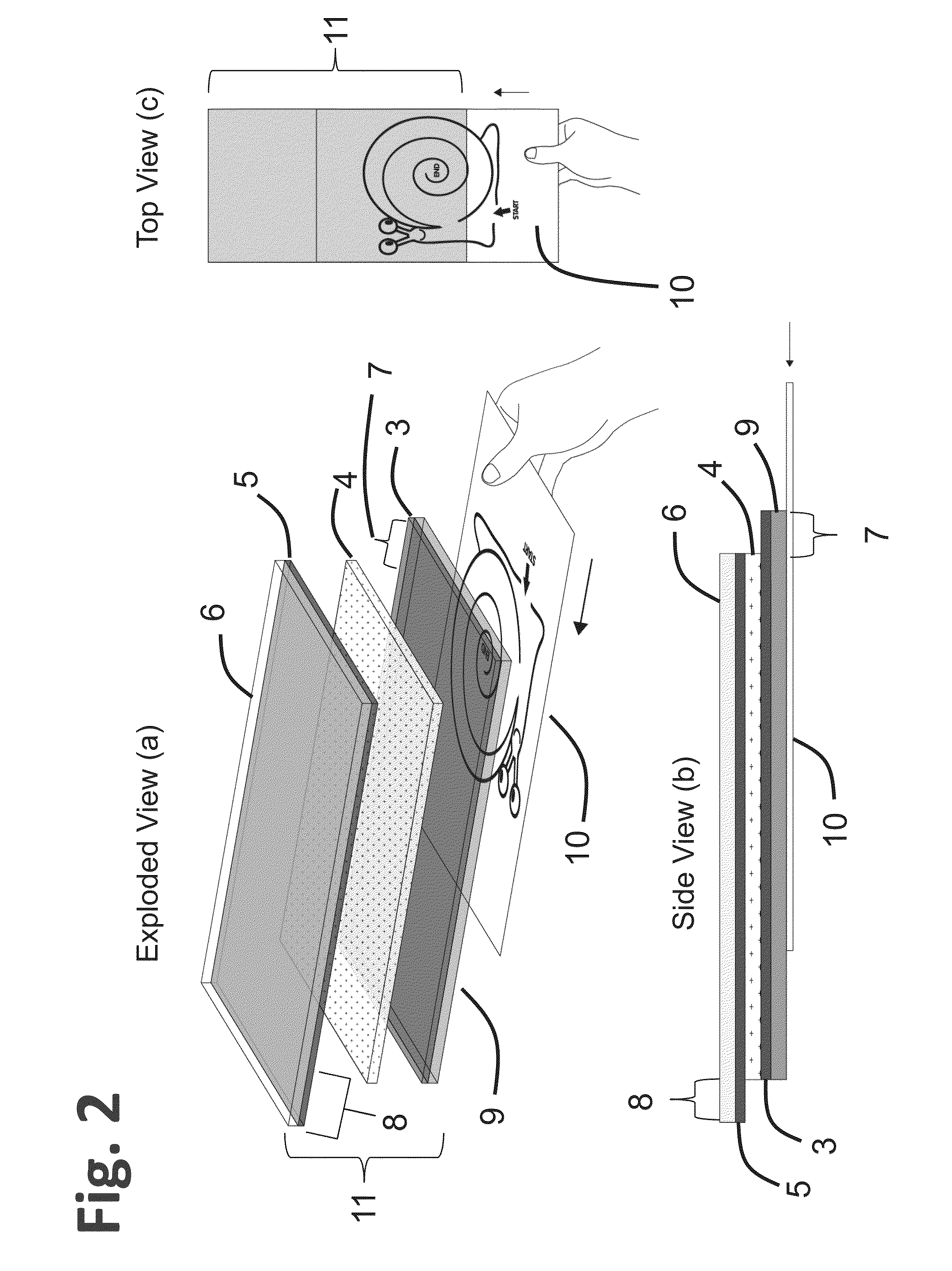 Electronic display with semitransparent back layer