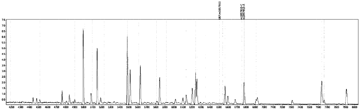 Detection product for differentiating individualized medication of Losartan