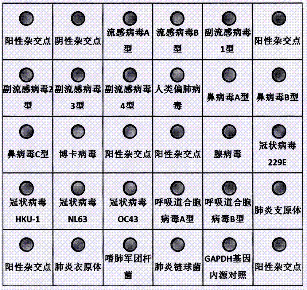 Respiratory tract common pathogen multiple PT-PCR combined gene chip detection kit