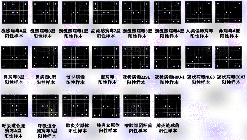 Respiratory tract common pathogen multiple PT-PCR combined gene chip detection kit