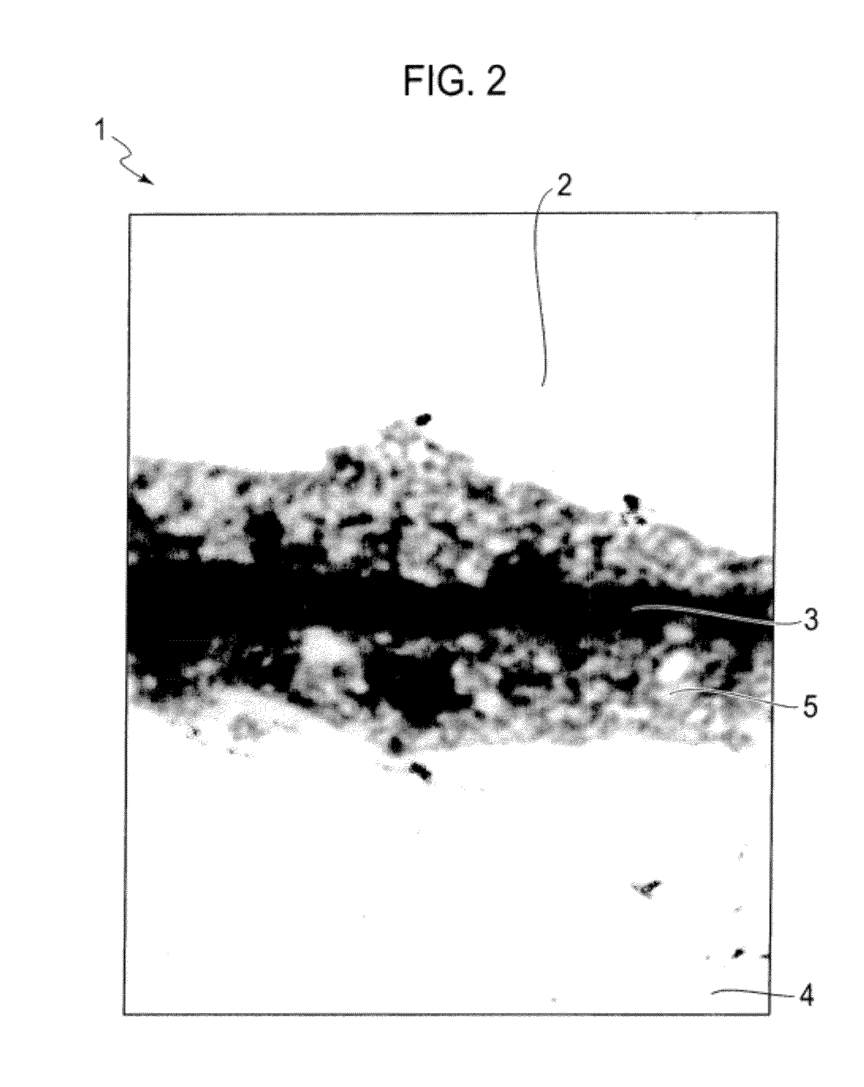 Rare earth magnet molding and method for manufacturing the same