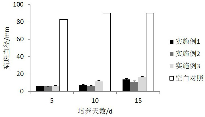 Preparation method of oregano essential oil nano-microcapsules