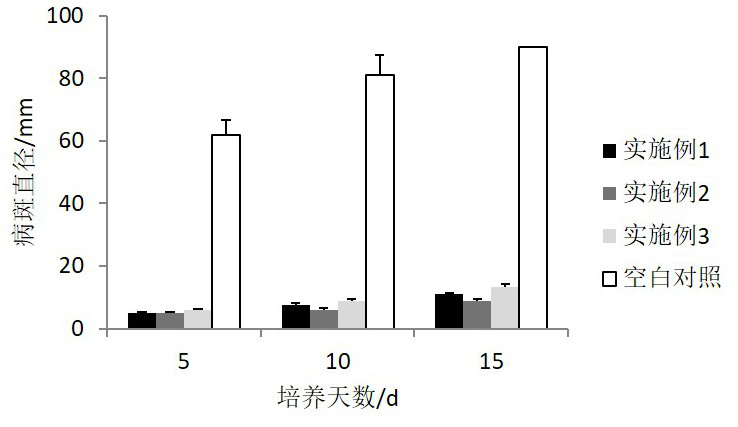 Preparation method of oregano essential oil nano-microcapsules