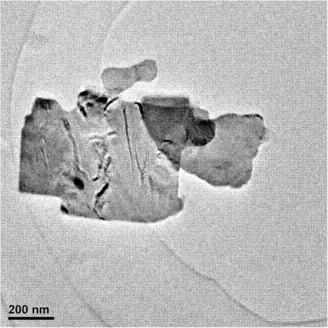 Visible-light catalyst Bi3O4Br and preparation method thereof