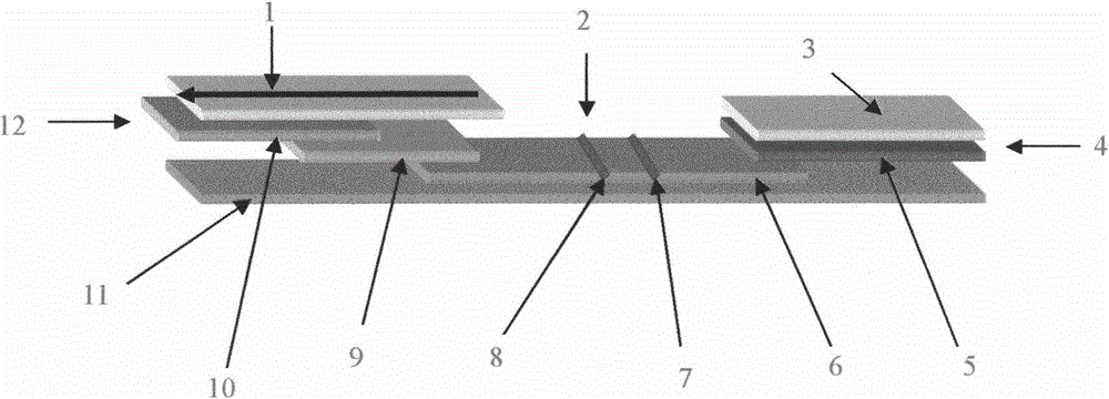 Saliva/urine antibody colloidal gold detection technology for hepatitis C virus (HCV) and preparation method