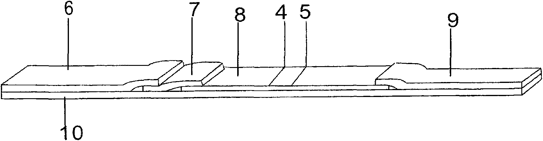 Reagent card for colloidal gold immunochromatograohic assay of lily mottle virus and preparation method of reagent card for colloidal gold immunochromatograohic assay of lily mottle virus