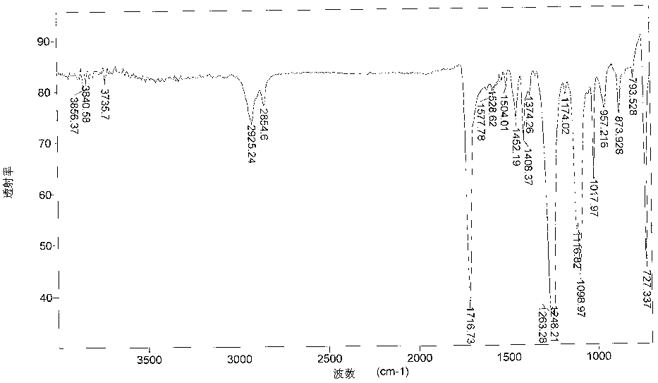 Degradable polymer composition and preparation method thereof