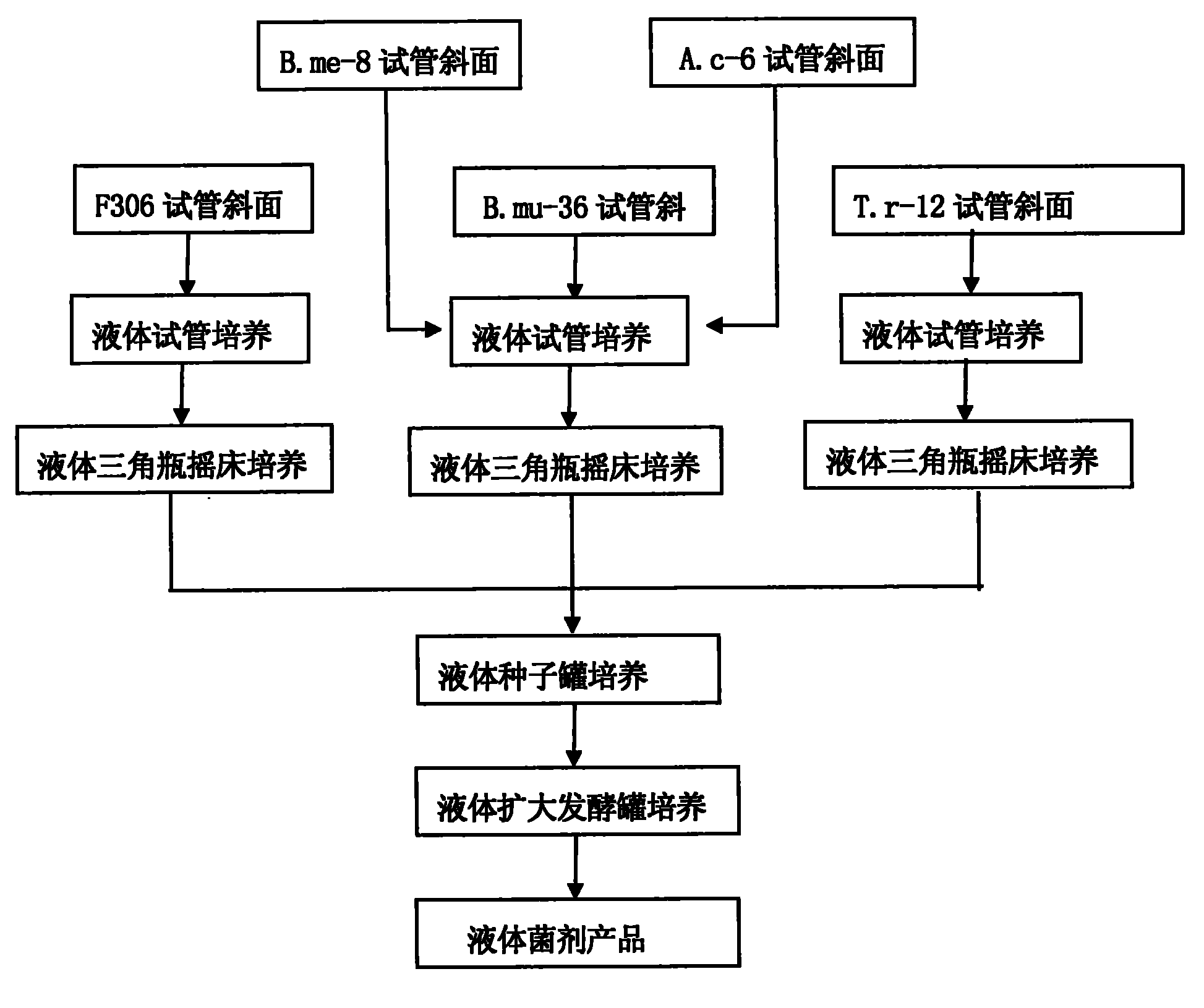 Plant growth bacterial agent and preparation method thereof