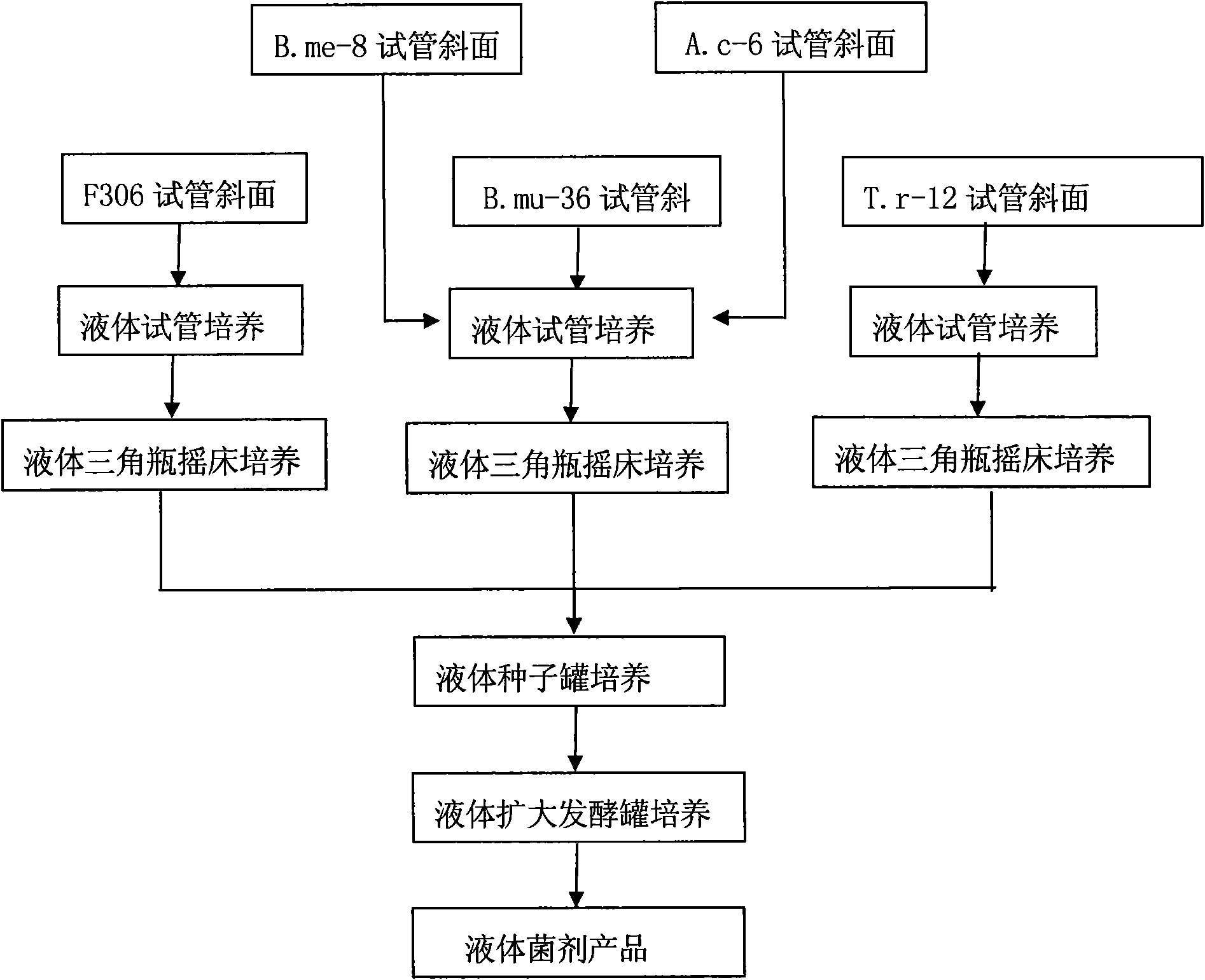 Plant growth bacterial agent and preparation method thereof