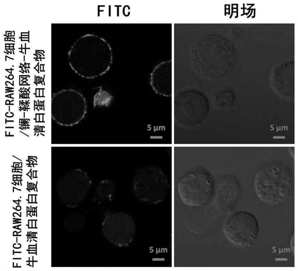 Pharmaceutical preparation for treating lung diseases, and preparation method thereof