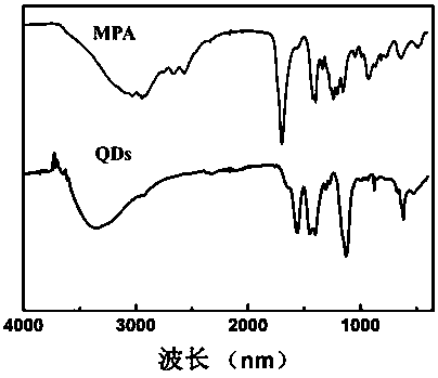 Method of selectively detecting thrombin by phosphorescent probe