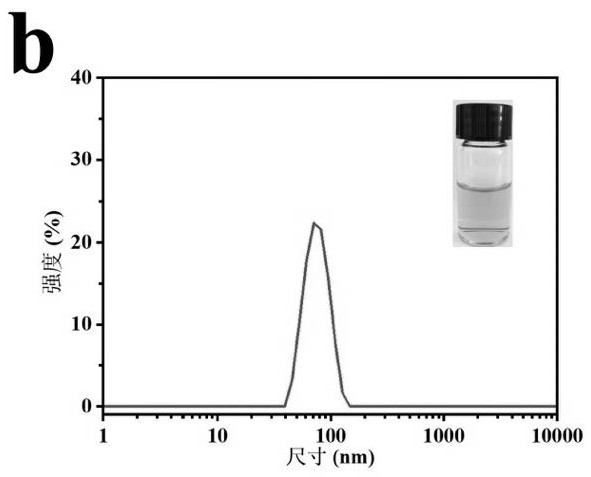 Copper peroxide transdermal microneedle system and preparation method and application thereof