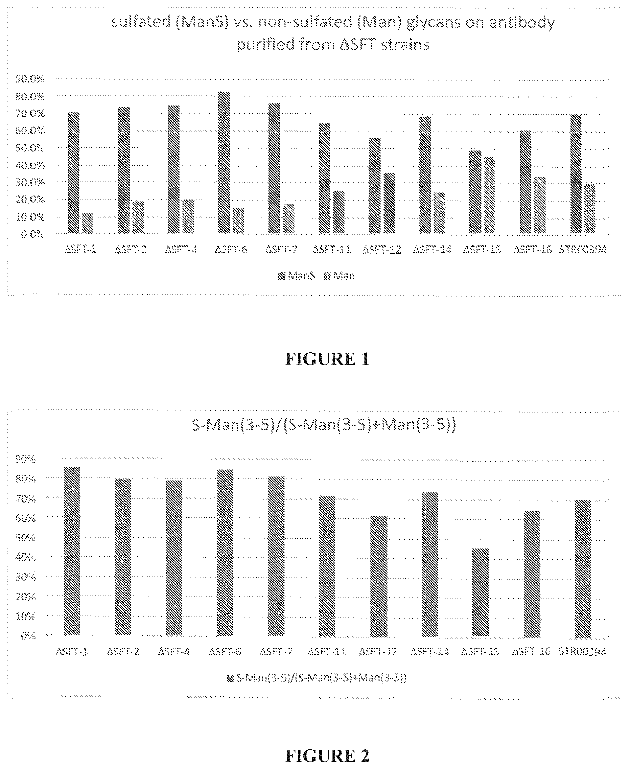 Organisms and methods for producing glycomolecules with low sulfation