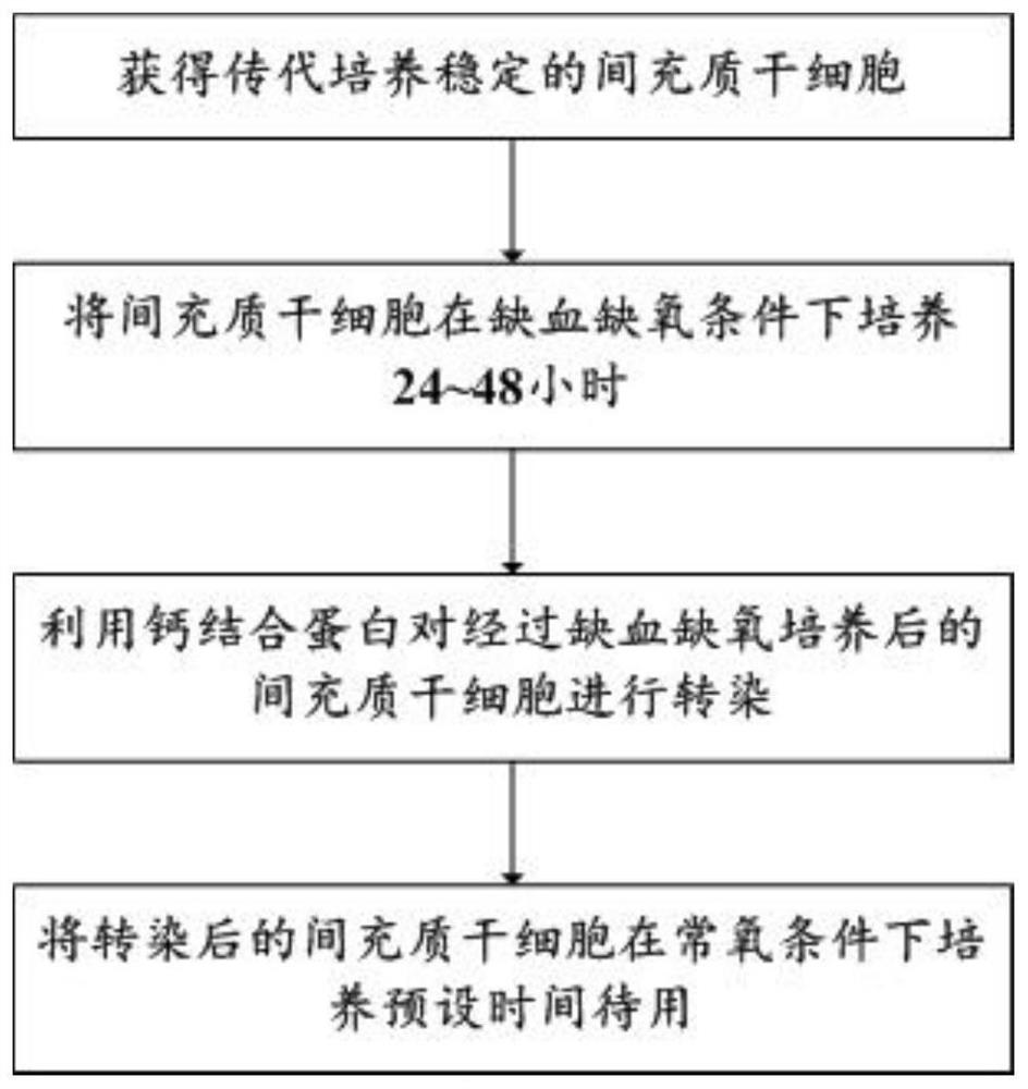 Method and system for improving repair capability of mesenchymal stem cells