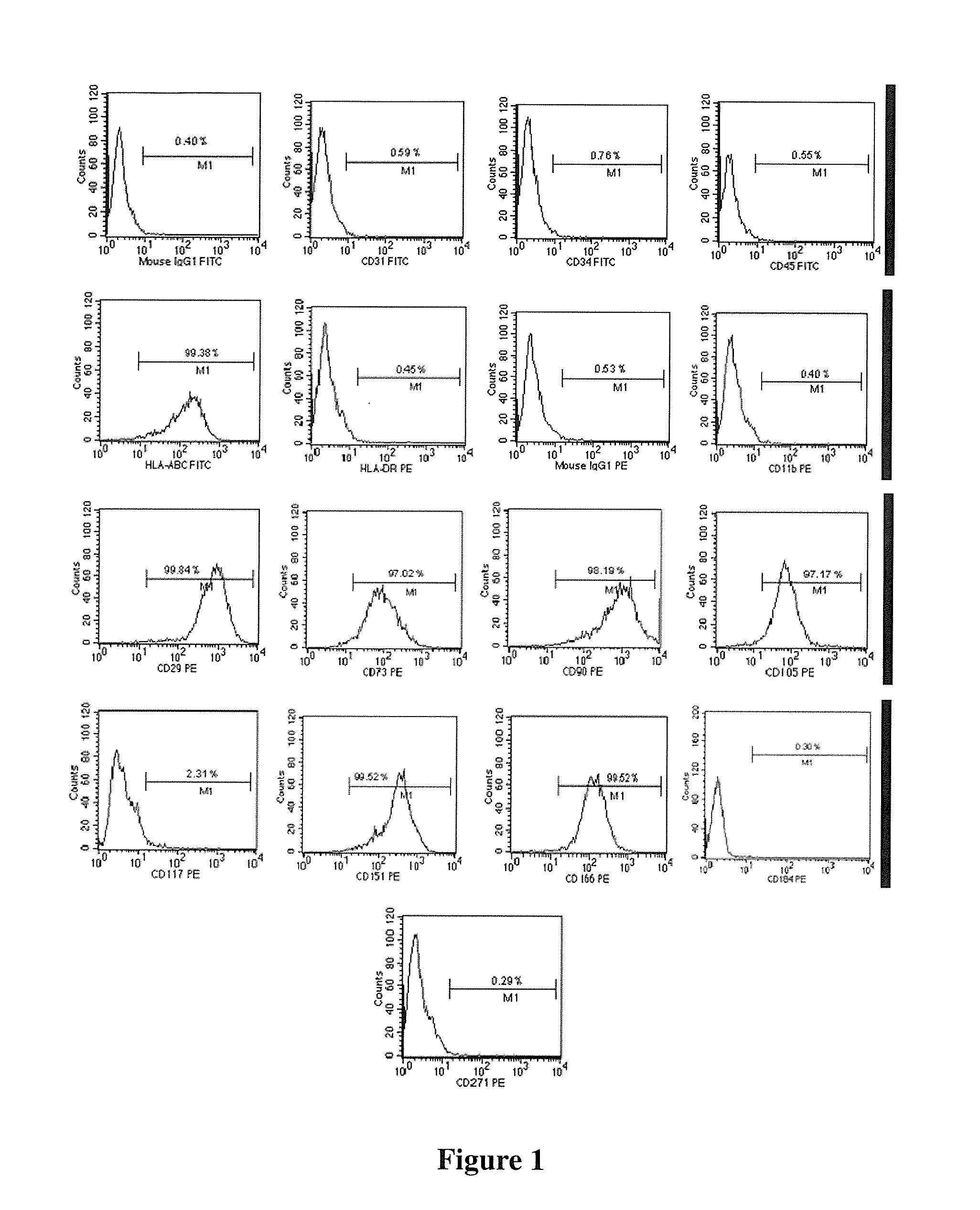 Pluripotent stem cells, method for preparation thereof and uses thereof