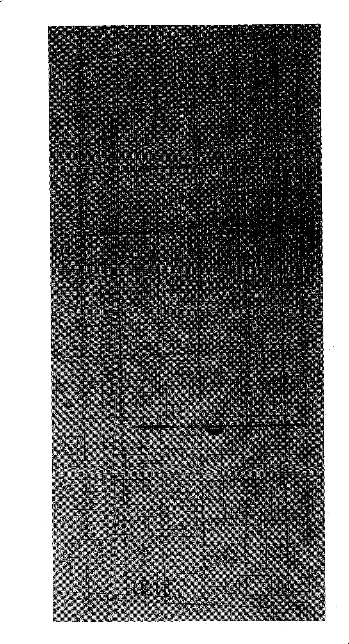 Method for extracting rabies virus