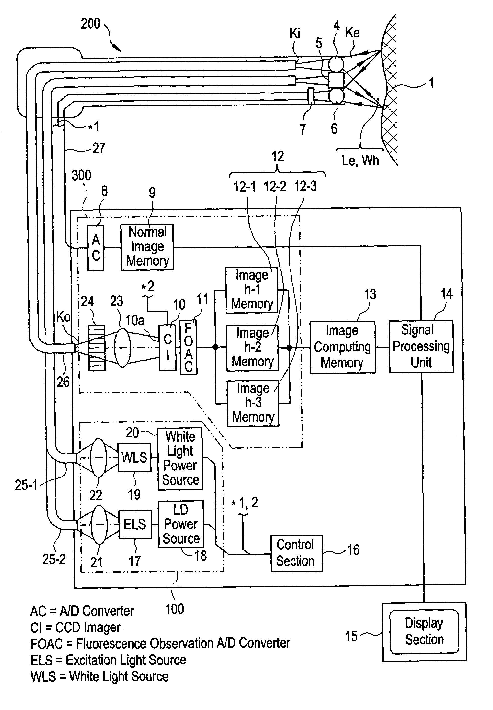 Fluorescence observing apparatus