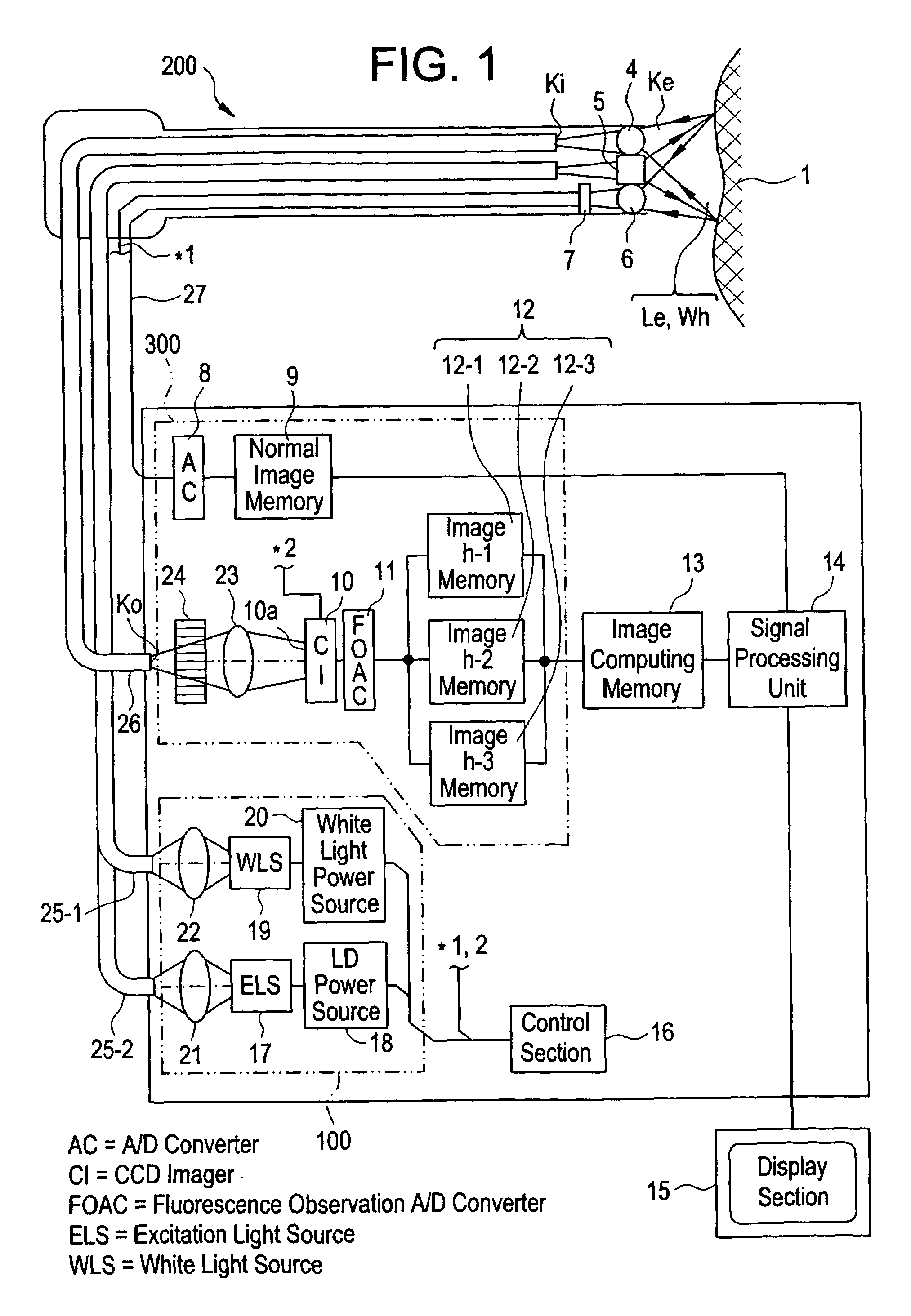 Fluorescence observing apparatus