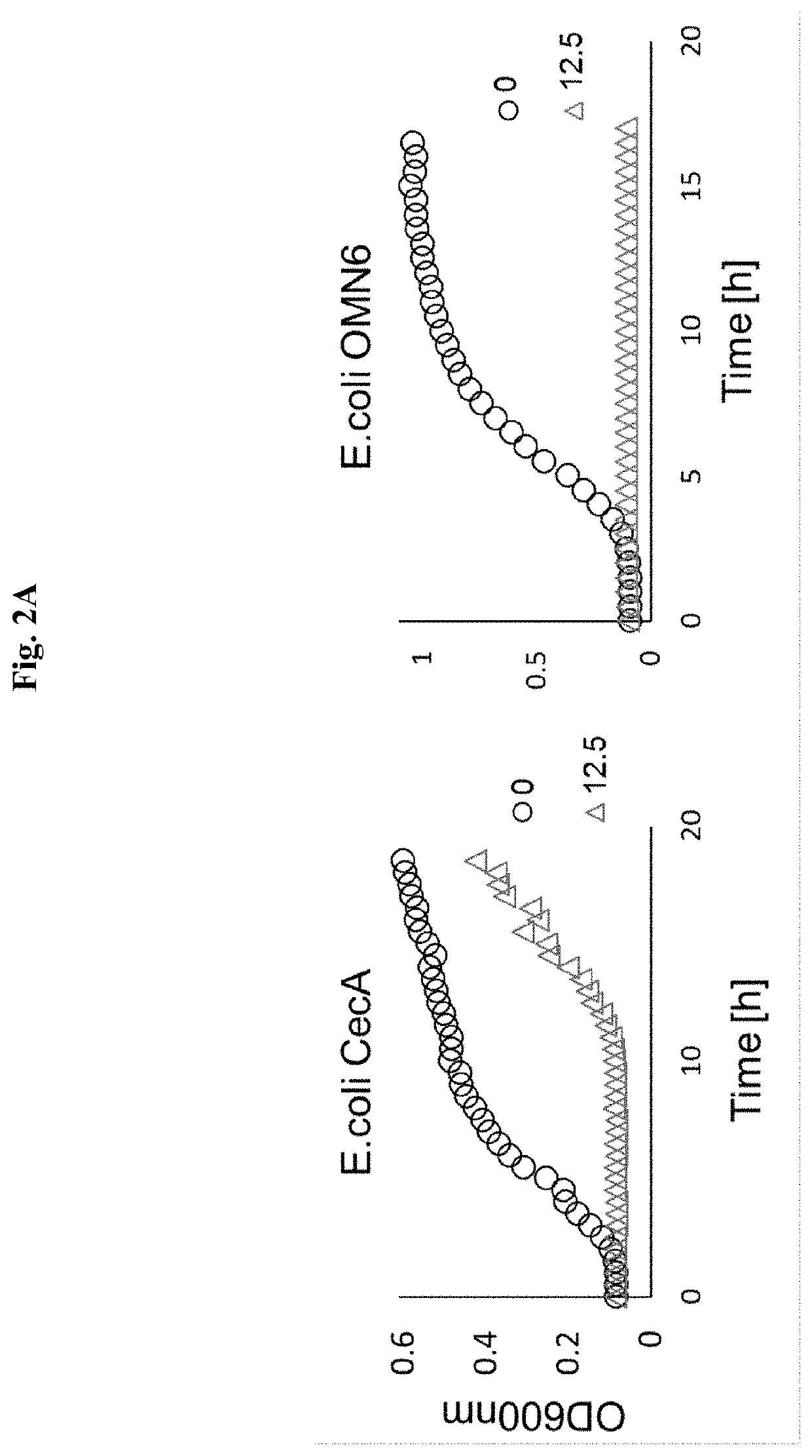 Antimicrobial peptides