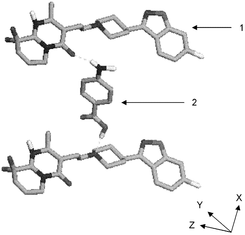 Novel paliperidone medicinal eutectic and preparation method thereof