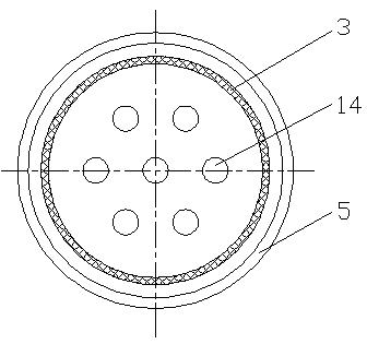 Circulating fluidized bed reactor for preparing hydrogen by gasifying biomass