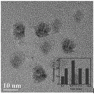 Preparation method for synthesizing fluorescent polymer nanoparticles on basis of polyethyleneimine