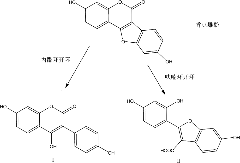 Coumestrol open-ring analogue and medical application thereof