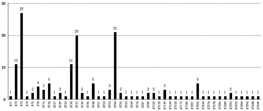 Identification method of ST37 type clostridium difficile and unit point variation type ST81 thereof