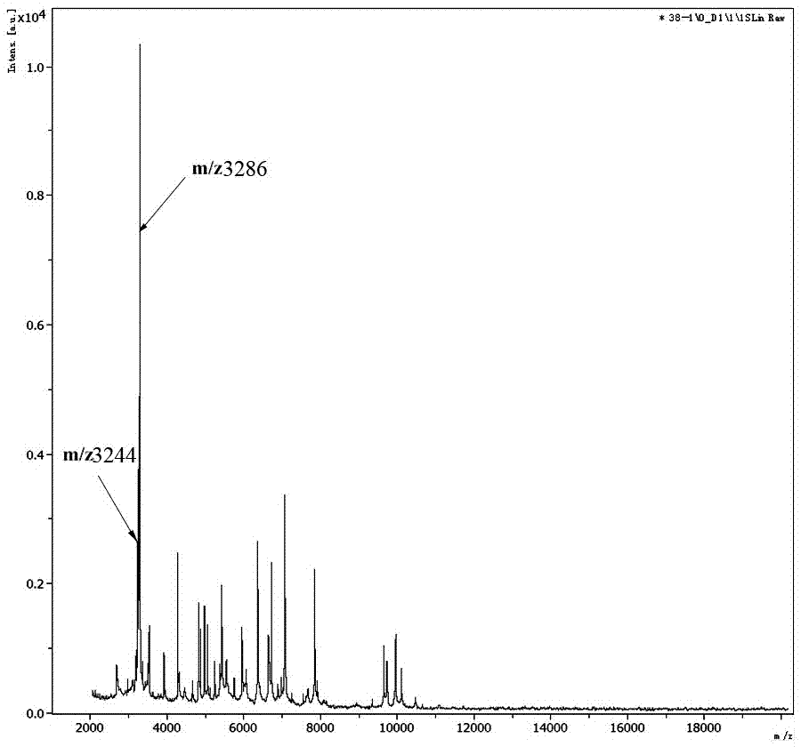 Identification method of ST37 type clostridium difficile and unit point variation type ST81 thereof