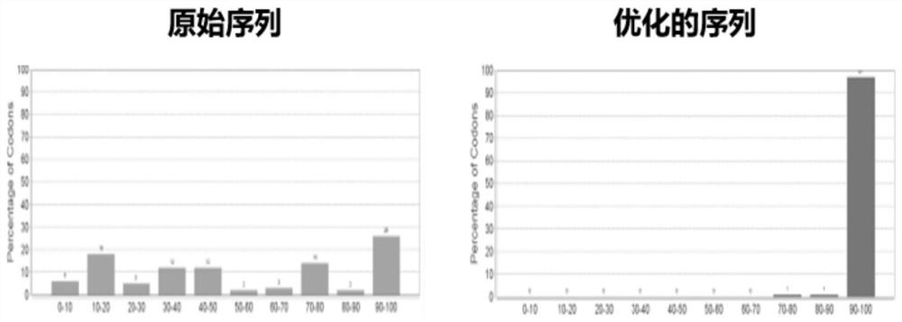 Recombinant expression and application of optimized porcine rotavirus outer capsid protein VP4